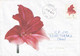 A9612- RED FLOWER, BAIA MARE 2002  SENT TO TURDA, ROMANIA COVER STATIONERY - Otros & Sin Clasificación