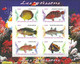 BURUNDI 2009, MARINE FAUNA, FISHES, 2 COMPLETE, MNH SERIES In SMALL SHEETS With GOOD QUALITY, *** - Ongebruikt