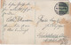 D221,AK,koloriert,Heilstädte Hohwald,Neustadt,Sachsen,Stempel,1913 - Neustadt