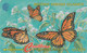 British Virgin Islands, BVI-91B, Butterfly,  2 Scans.   91CBVB - Virgin Islands