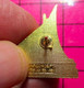 117 Pin's Pins / Beau Et Rare / THEME : BATEAUX / BRETAGNE VOILIER DE PECHE - Dranken