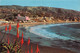 LAGUNA BEACH, CALIFORNIA - At Christmastime, Aloes Bordering Colorful Heisler Park - Santa Ana