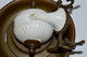 Delcampe - BEL ENCRIER A BASCULE SIPHOIDE ESCARGOT XIXe Porcelaine Blanche Coupelle Laiton Collection Vitrine - Encriers