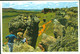 BRAZIL -  VILA VELHA - PARANÁ  PANORAMIC  VIEWS  -  12 UNUSED CARDS ON LEAFLET - Curitiba