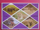 Visuel Très Peu Courant - Greetings From Kenya - Rhinocéros Guépard Lion Girafe Eléphant - R/verso - Kenya