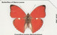 Sierra Leone, SRL-10, Cymothoe Hartigi, Butterfly, 2 Scans. - Mariposas