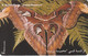 Jordan, JO-ALO-0046, Butterfly - Attacus Atlas, 2 Scans. - Jordanie