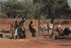 &22 Gambie Gambia Afrique At Village Well Puits - Gambie