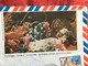 NOUMÉA Lettre Illustrée éponges Coraux Documents Av 2 Timbres Océanie Nouvelle-Calédonie & Dépendances-> 1978 -☛Avion - Lettres & Documents