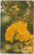 #14 - VIETNAM-07 - Apricot Blossom - Viêt-Nam