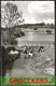 SLENAKEN In De Del Koeien In Het Water / Vaches Dans L’eau 1967 - Slenaken