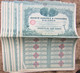 Gros Lot De 15 Vieux Papier Action Rare 100 Cent Franc SOCIETE AGRICOLE FINANCIERE D'ALGERIE 1928 Illustré Superbe T B E - Agricoltura