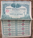 Gros Lot De 15 Vieux Papier Action Rare 100 Cent Franc SOCIETE AGRICOLE FINANCIERE D'ALGERIE 1928 Illustré Superbe T B E - Agricoltura