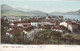 LUINO (VARESE) CARTOLINA - LAGO MAGGIORE - PANORAMA GNERALE - Luino