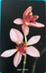 SIERRA-LEONE - Phonecerd - Flower - Orchidae - 50 Units - Sierra Leone