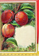 4 Litho C1880 : Aarbeien Pruimen : Strawberries, Prunes, Beries ... Ander Fruit  Serie Druk. 224 - Exc. 14 Cm X  11,4 - Menus