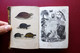 Petit Buffon Illustré Volume III Reptiles Didier Paris 1841 Storia Naturale - Unclassified