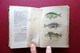 Delcampe - Petit Buffon Illustré Volume III Reptiles Didier Paris 1841 Storia Naturale - Unclassified