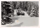 Carte-Photo : Chalet Jura Club Cossonay - Sceau Vallée De Joux L'Abbaye (10 X 15 Cm) - Cossonay