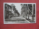 RPPC  McGregor Blvd.    Fort Myers   Florida     Ref 5041 - Fort Myers