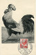 FRANCE CARTE MAXIMUM DU N°633 COQ D'ALGER AVEC OBLITERATION EXPOSITION D'AVICULTURE 3 IV 1945 PARIS - 1944 Coq Et Maríanne D'Alger