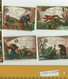 12 Cartes Circa 1888 Superbe Lithographie, 3 Series Complete =X 4 Chromos, Parfum  KARL FEY Eau De Cologne, Voir Scans - Anciennes (jusque 1960)