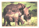 Standing Rhinoceros With Son - Rhinozeros