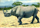 CP Animaux Rhinoceros Savane Nature Couriou Nice - Rhinoceros