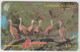 CAYMAN ISLANDS - Whistling Duck, 10 $, CN:13CCIA, Normal Zero: "0", Tirage 25,000, Used - Cayman Islands