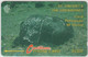 St VINCENT& GRENADINES - Carib Petroglyph Mt Wynne, 20 EC$, CN:9CSVB , Normal Zero: "0", Tirage 6.000, Used - San Vicente Y Las Granadinas