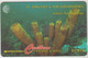 St VINCENT& GRENADINES - Yellow Tube Sponge, 10 EC$, CN:52CSVF , Dashed Zero: "Ø", Tirage 9.900, Used - St. Vincent & The Grenadines