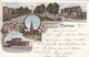 7365) GRUSS Aus TRITTAU - LITHO Mit BAHNHOF Hamburger Straße - HINSCH Gasthof - Hamburger Pensionat U. Kirche 1898 - Trittau