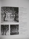 Delcampe - POL  BURY Monografie Door Rosemarie Pahlke Haine-Saint-Pierre Parijs Waalse surrealistische Beweging + Cobra Beweging - Histoire