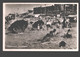 Scheveningen - Zonnebaden - Scheveningen
