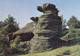 Postcard The Dancing Bear Brimham Rocks Nr Harrogate My Ref B24930 - Harrogate