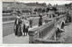 Delcampe - SUPERBE LOT DE 50 CPA AVEC DE GROSSES ANIMATIONS - 5 - 99 Postcards
