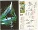 BVI British Virgin Islands Lot #5 Pcards 1979/87 X Europe Nice Views & Frankings - Isole Vergine Britanniche
