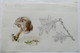 Lot 3 DESSINS ORIGINAUX Aquarelles G REUZE Signé Fleur Champignon Et Feuilles Dessin Aquarelle Dessin - Original Drawings