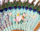 CHINE EVENTAIL ANCIEN - PLUME PAON DÉCOR PEINT GOUACHE DOUBLE FACE - BOIS AJOURÉ - Fans