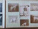 Delcampe - Bel Album Photos Chasse Au Bassin D' Arcachon Train Tramway Bateau Animation Chien - Château Saint Vidal Le Puy En Velay - Albumes & Colecciones