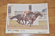 Photo Course De Chevaux,Cagnes Sur Mer 1971,Best Reason, JP Dion, Format 18/24 - Sporten