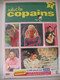 DVD NEUF Blister Salut Les Copains Vol 4 Hallyday, Vartan, Dutronc, ++Sixties - Muziek DVD's