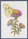 Un Papillon Butine Des Fleurs, Encart Double, 2010, Villages Du Monde Pour Enfants - Papillons