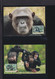 2012  Zentralafrika  WWF  "Zentralafrikanischer Schimpanse"  Komplettes Kapitel - Lots & Serien
