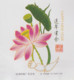 Chine China Registered Envelopp Postal Stationnery Lotus Nénuphar Bamboo Happy New Year Mountaineering Climbing Children - Oblitérés