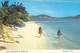 ANTIGUA - FALMOUTH HARBOUR & BEACH  / P46 - Antigua E Barbuda