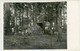Allemande Carte Photo - Haplincourt -  Bois Stellung  - .WWI 1.WK - 1914-18