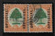 SOUTH AFRICA 1926 6d OFFICIAL BILINGUAL PAIR SG O4 FINE USED Cat £75 - Dienstmarken