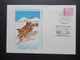 DDR 1980er Jahre 3x Polarpost Amundsen / Antarktisforschung DDR - UdSSR Und British Antarctic Territory. Sonderbelege - Storia Postale