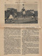 Lisboa - Boletim Do Sporting Clube De Portugal Nº 95, 30 De Novembro De 1930 (16 Páginas) - Jornal - Futebol - Estádio - Sport